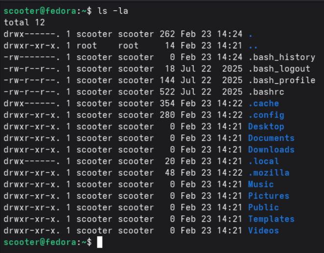 Home directory full of dotfiles